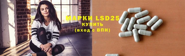 гидра Алексин