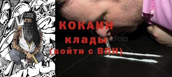гидра Алексин